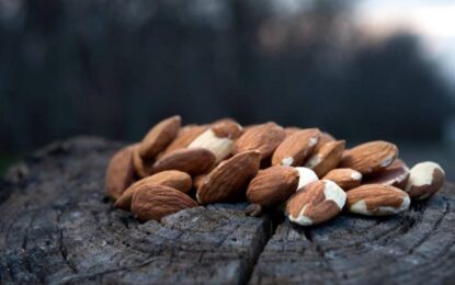 Almonds shipment report
