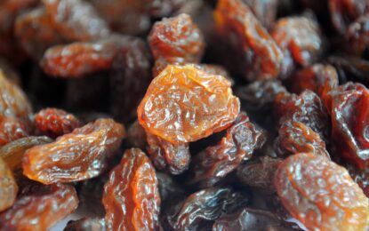 First New Crop Sultana & Currant Shipments On The Way