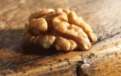 Walnut Market Report September 2019