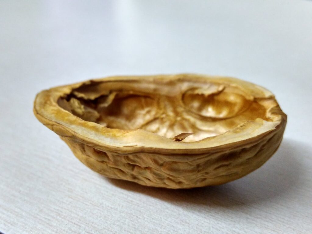 New Californian Walnut Crop
