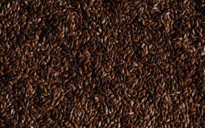 Seed Market Update – Lack of selling Interest and Sporadic buying pressure