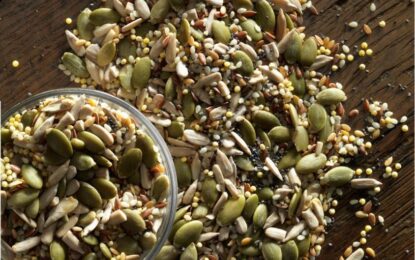 Seed Market