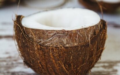 Desiccated Coconut Market Report