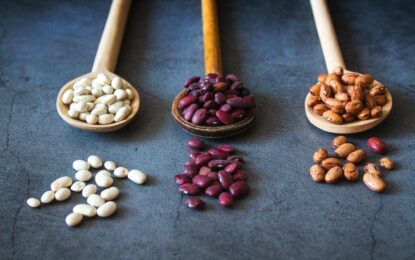 Latest Pulses & Lentils Market Review – April – Part 2