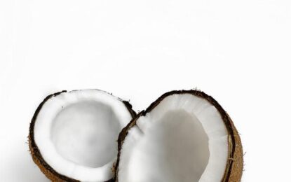 Desiccated coconut market update