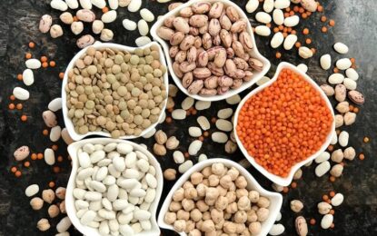 Latest Pulses & Lentils Market Review – April – Part 1