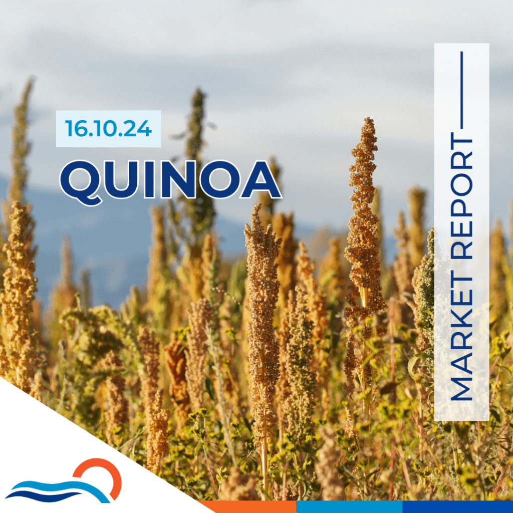 Quinoa Market Report 16.10.24