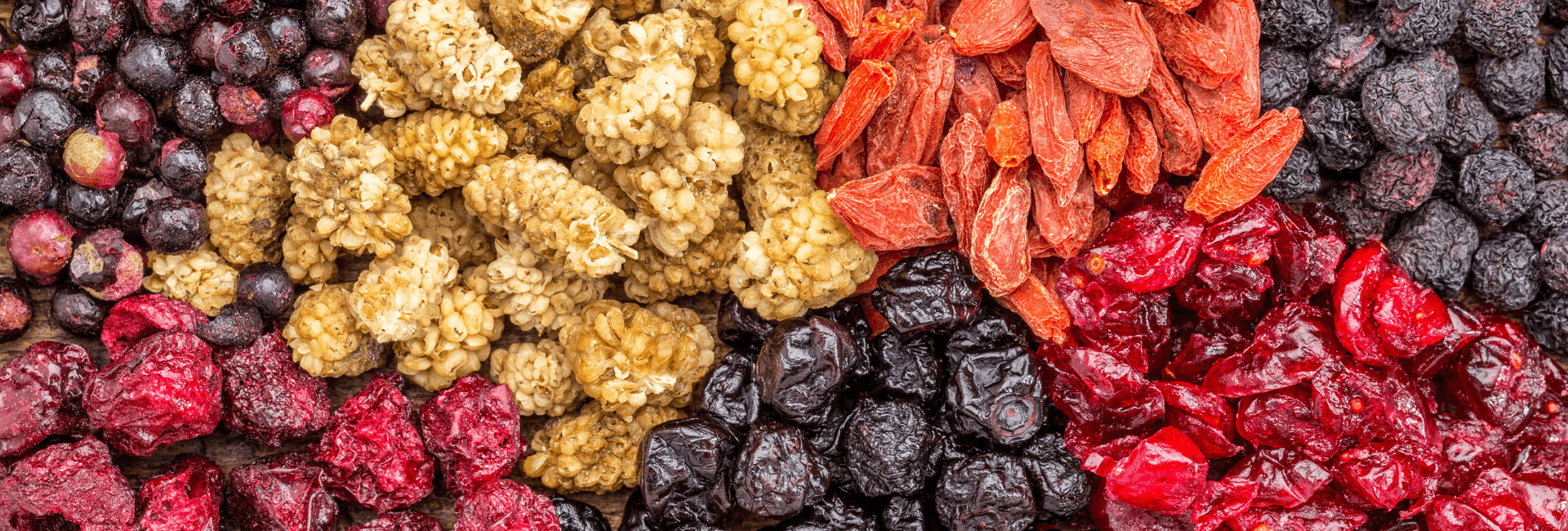 Dried Berries berry food importer UK