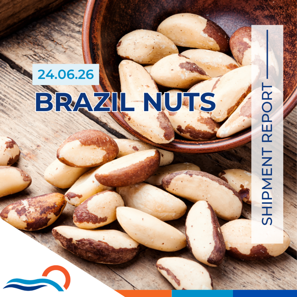 Brazil Nuts Report Industry Market News