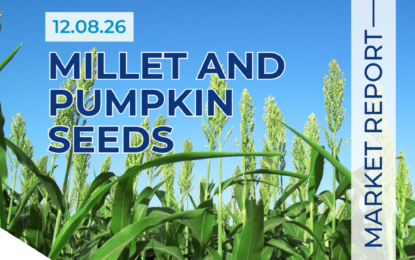 Millet and Pumpkin Seeds 12.08.26