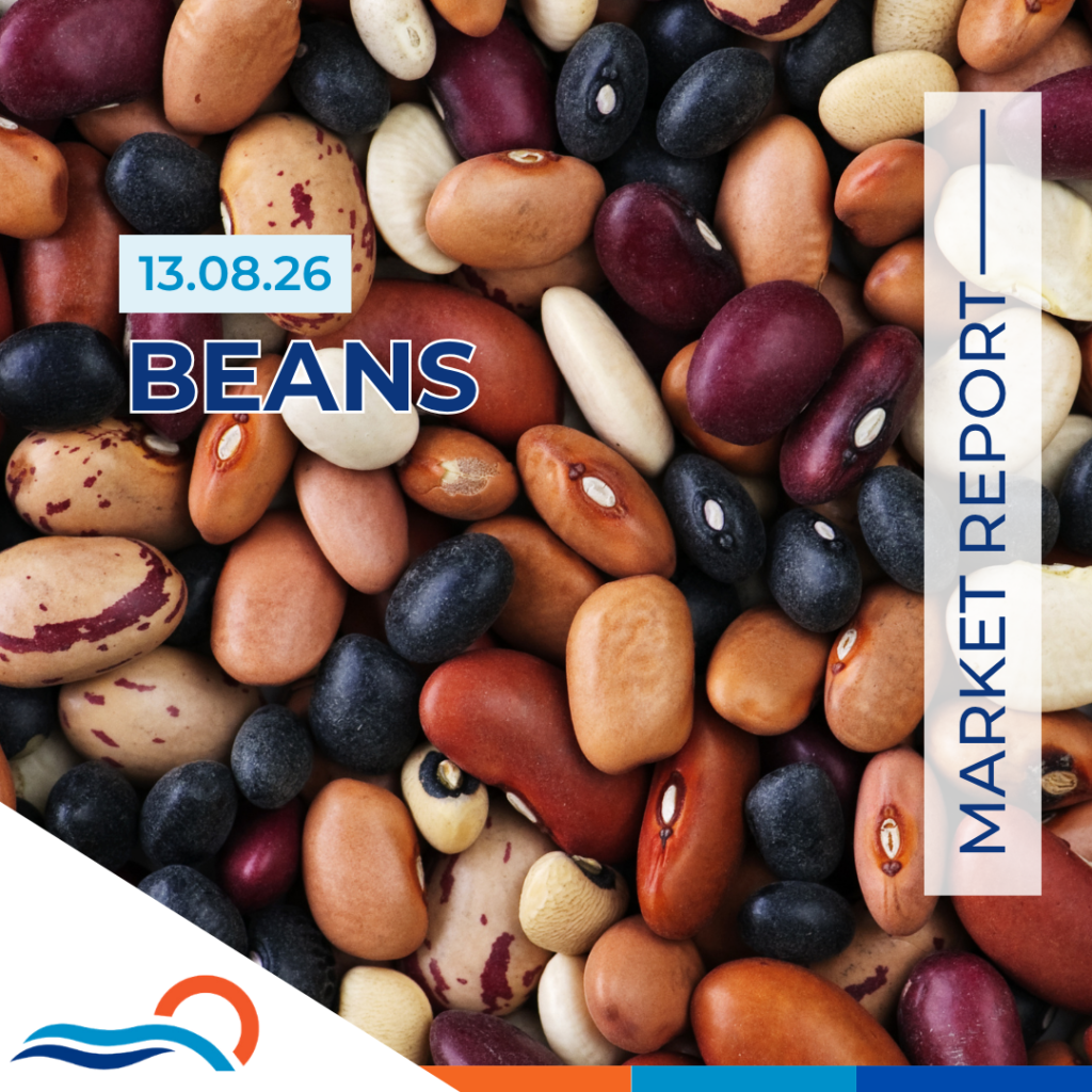 Beans Market Update 13.08.26