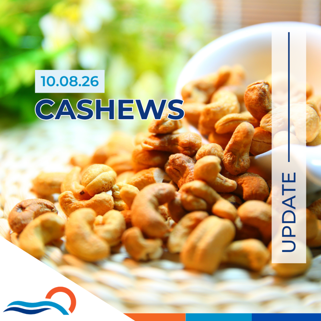 Cashew Outlook 10.08.26