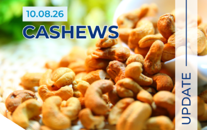 Cashew Outlook 10.08.26