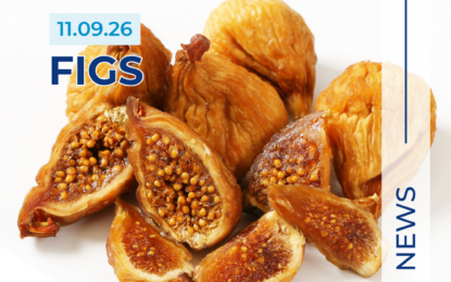 Turkish Dried Fig Market Report 11.09.26