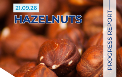 Turkish Hazelnuts Market Report 21.09.26