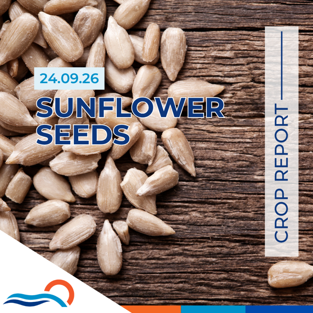 Sunflower Seed Crop Report 24.09.26