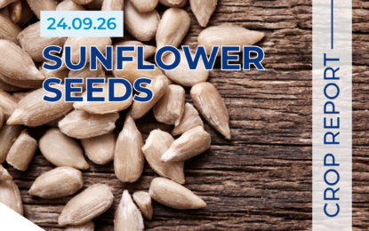 Sunflower Seed Crop Report 24.09.26