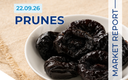 Global Prunes Market Report – September 2026