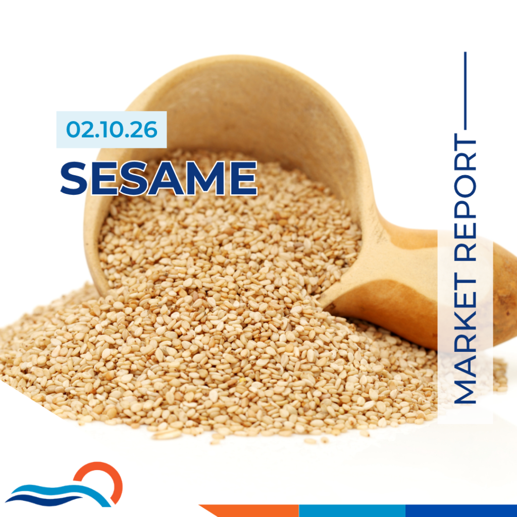 Sesame Seed Market Report 02.10.26