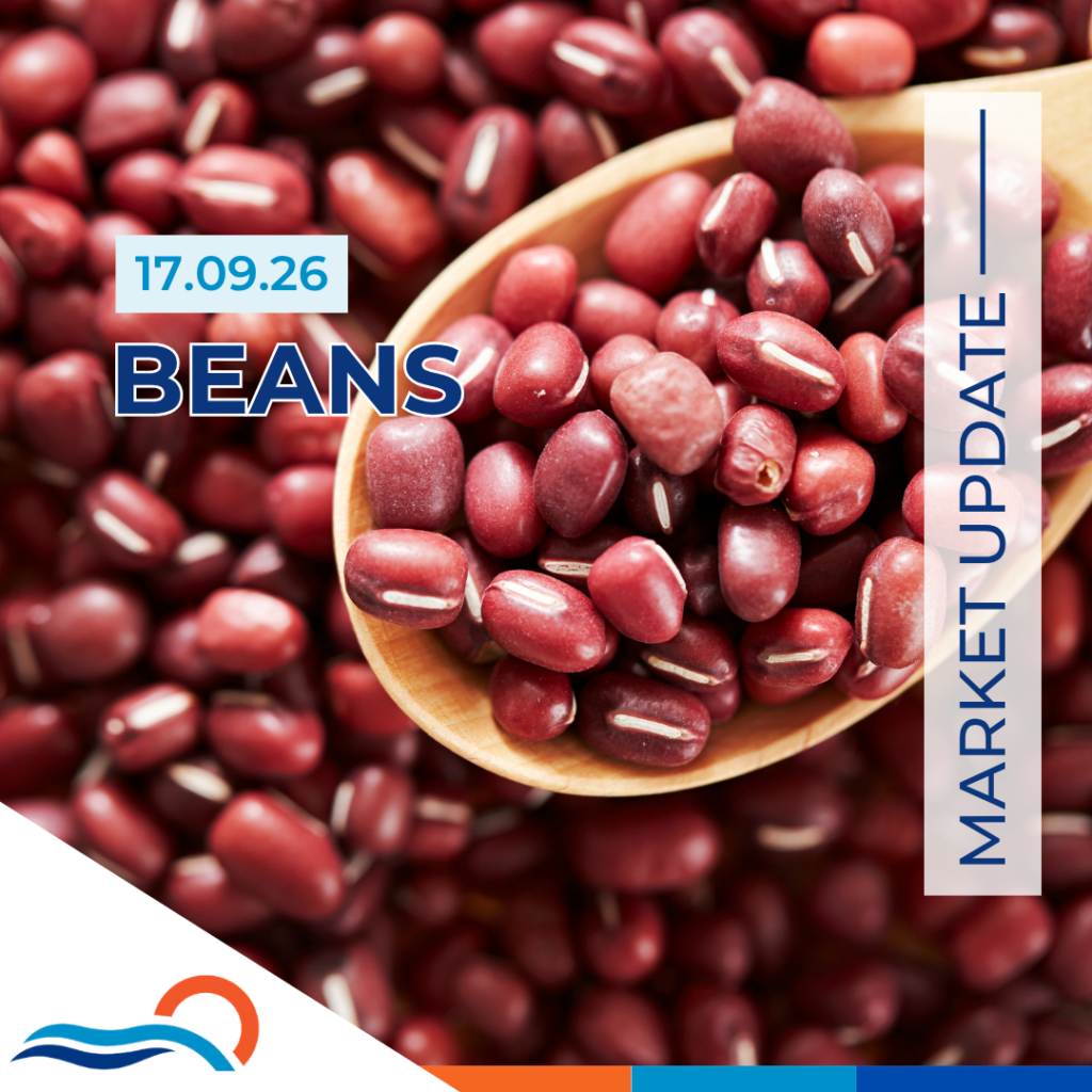 Dried Beans Market Report 17.06.26