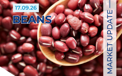 Dried Beans Market Report 17.06.26