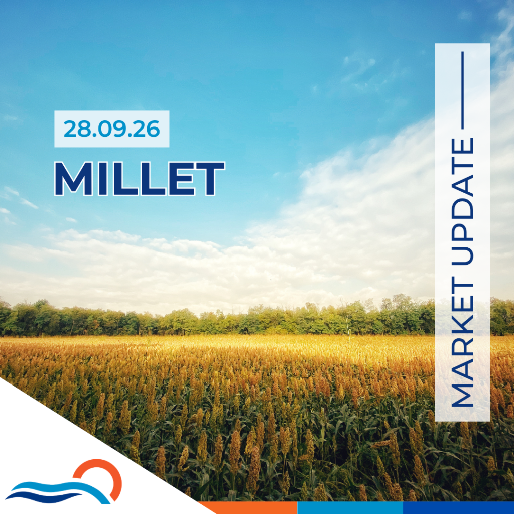 Millet Report 28.09.26