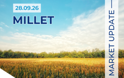 Millet Report 28.09.26