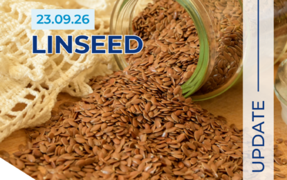 Linseed crop Report market industry news