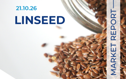 Linseed Market Update 21.10.26