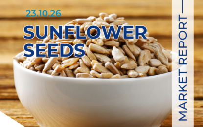 Sunflower Seed Market Outlook 23.10.26