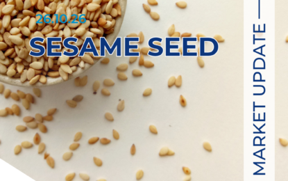 Sesame Seed Market Report 26.10.26