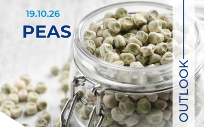 Peas Market Outlook 19.10.26
