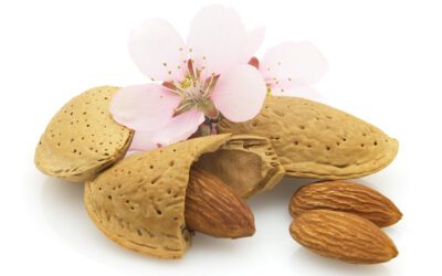 Record January Californian Almonds Shipments