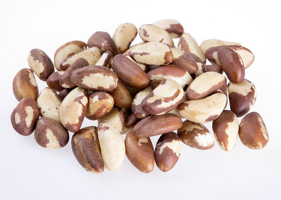 Brazil Nut Market Report July 21