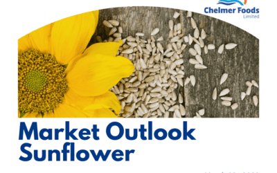 Market outlook, Sunflower
