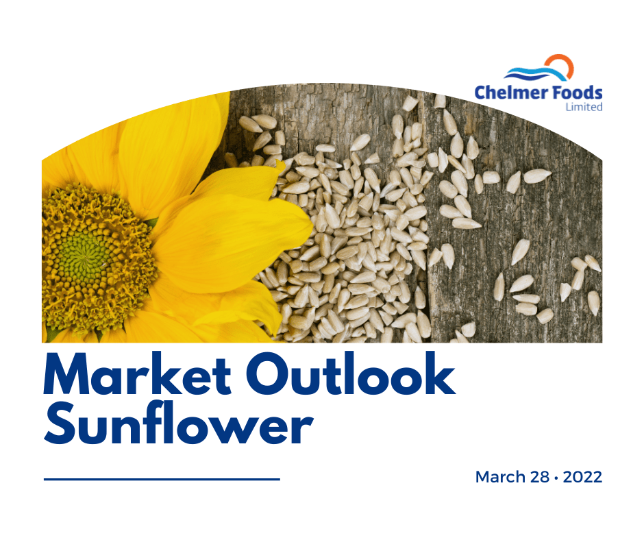 Market outlook, Sunflower
