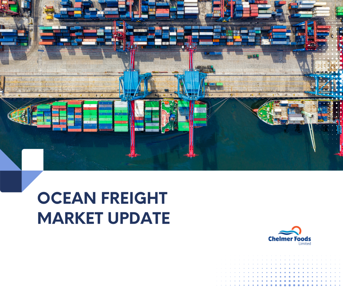 Ocean Freight Market Update