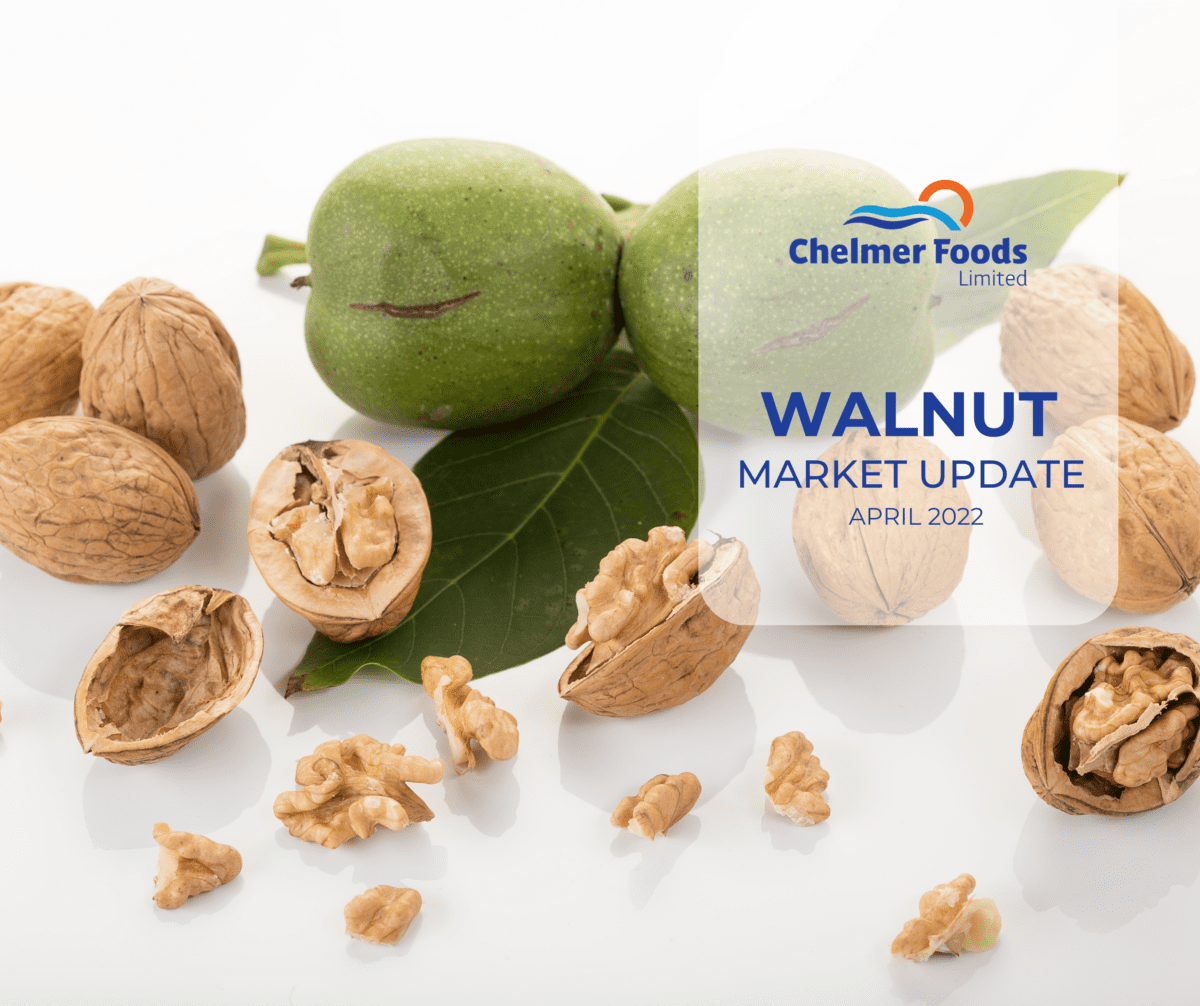 Walnuts: Chile could achieve record crop
