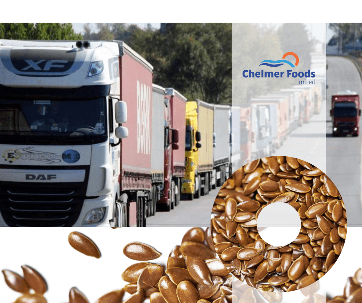 Flaxseed: freight costs from Kazakhstan increase massively
