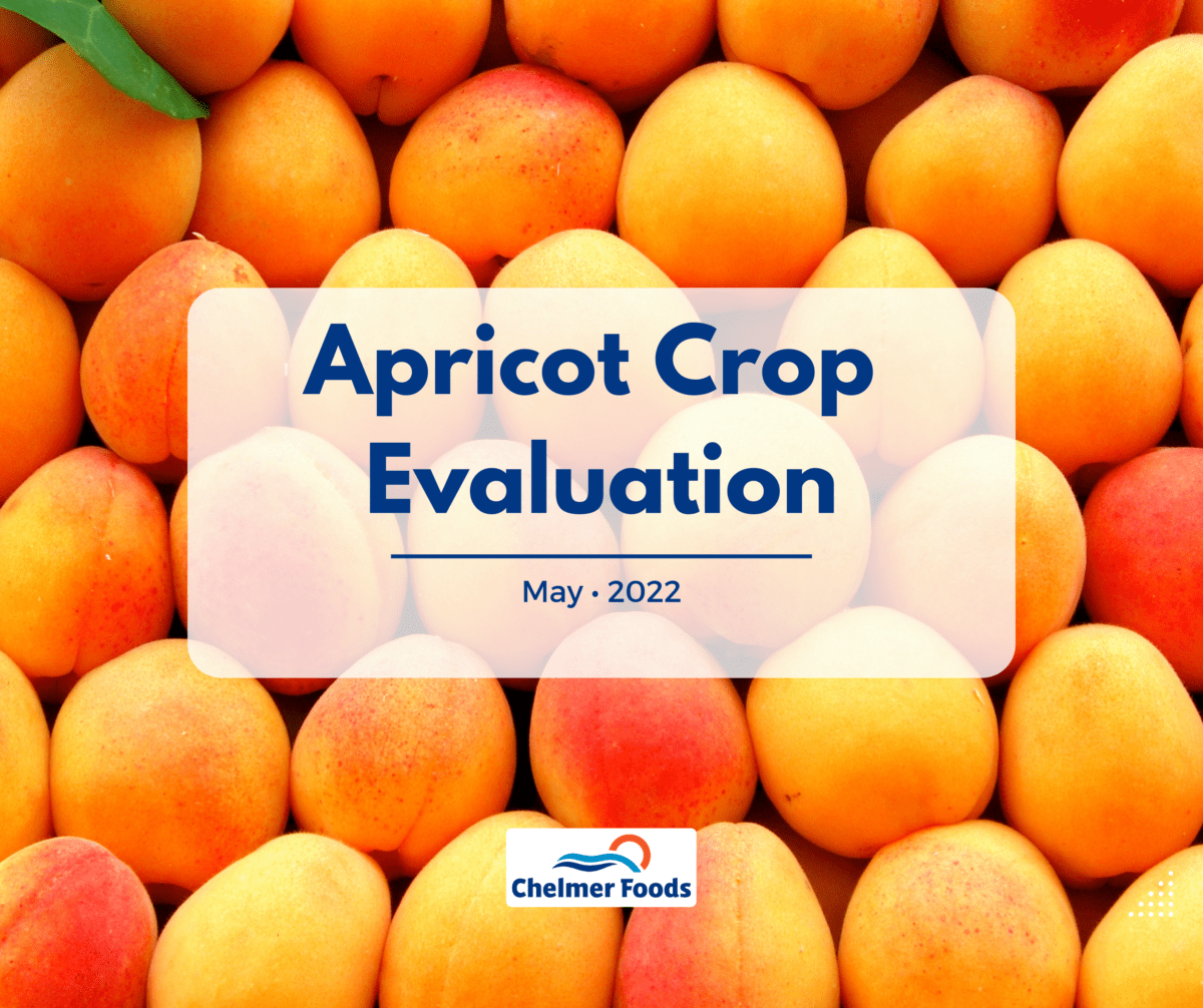 Apricot Crop Evaluation, May 2022