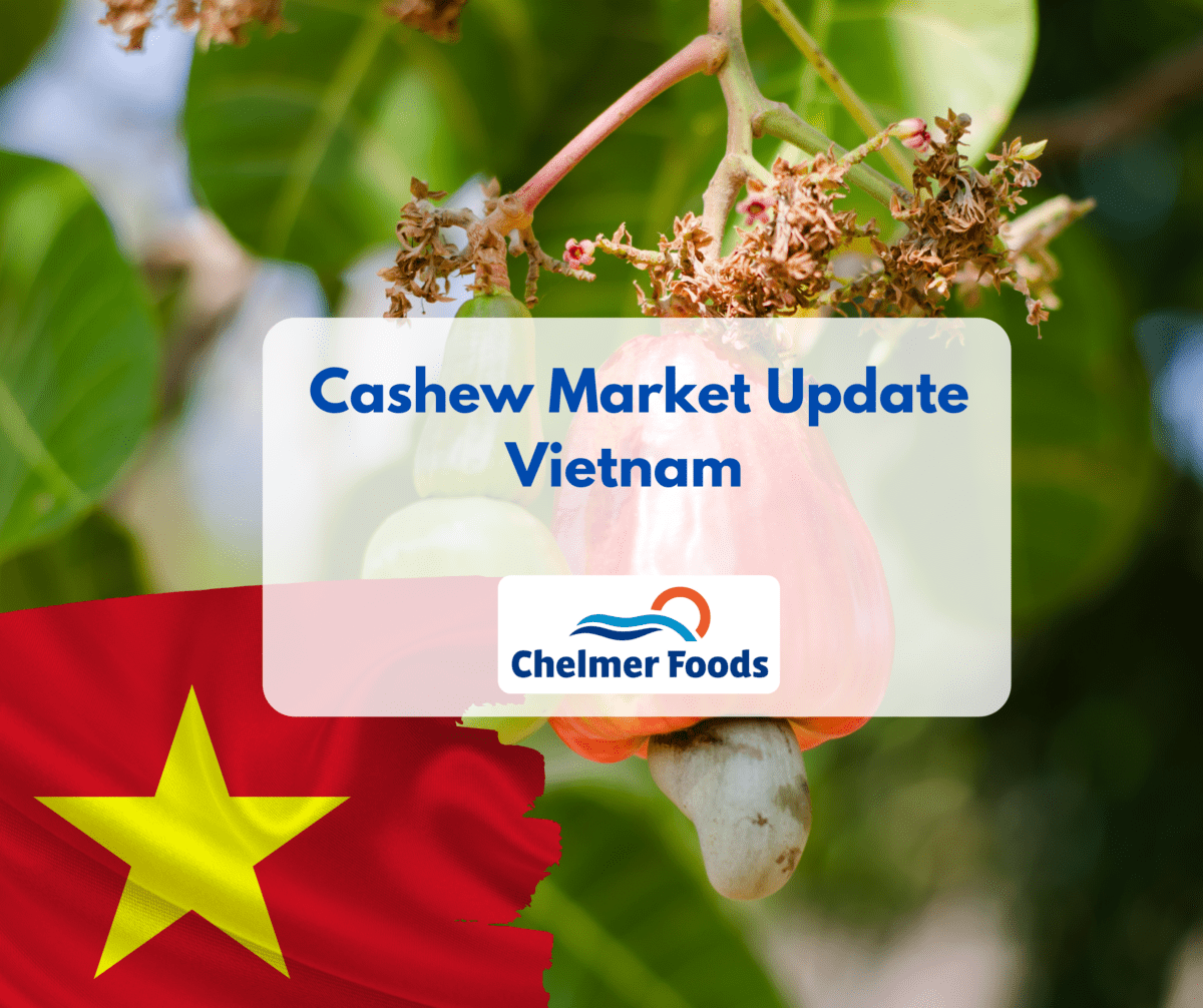 Cashew Market Update, Vietnam