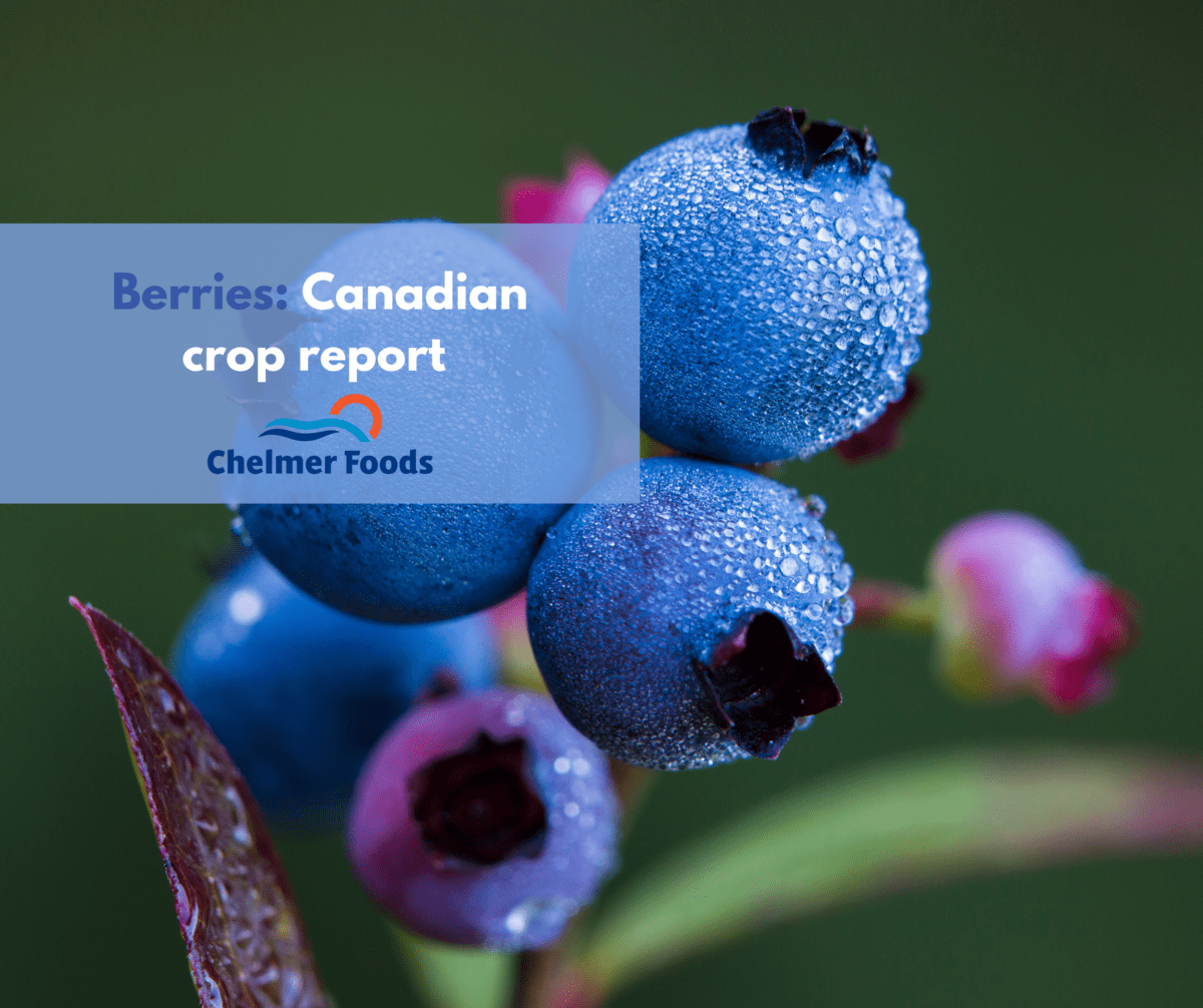 Berries: Canadian Crop Report