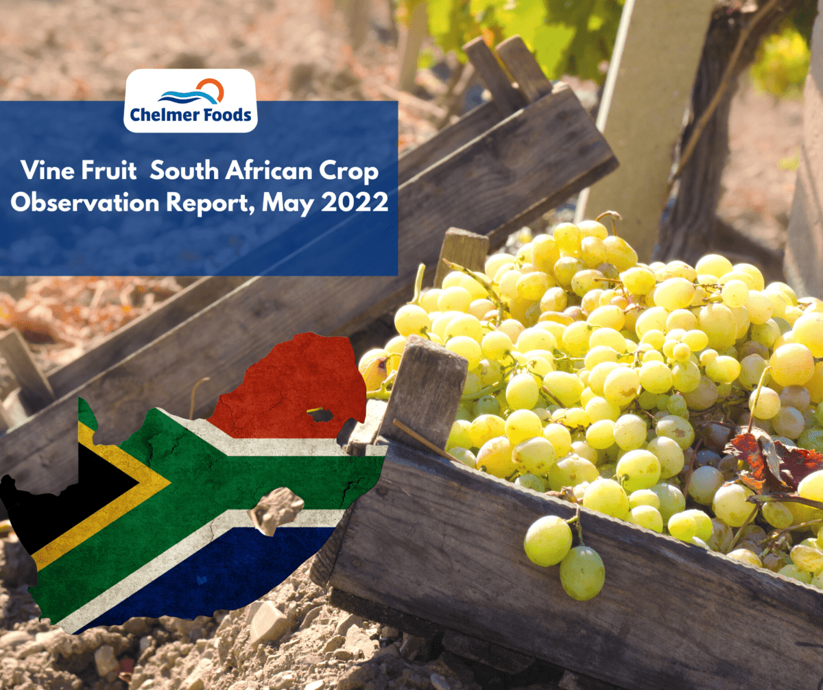 Vine Fruit  South African Crop Observation Report, May 2022