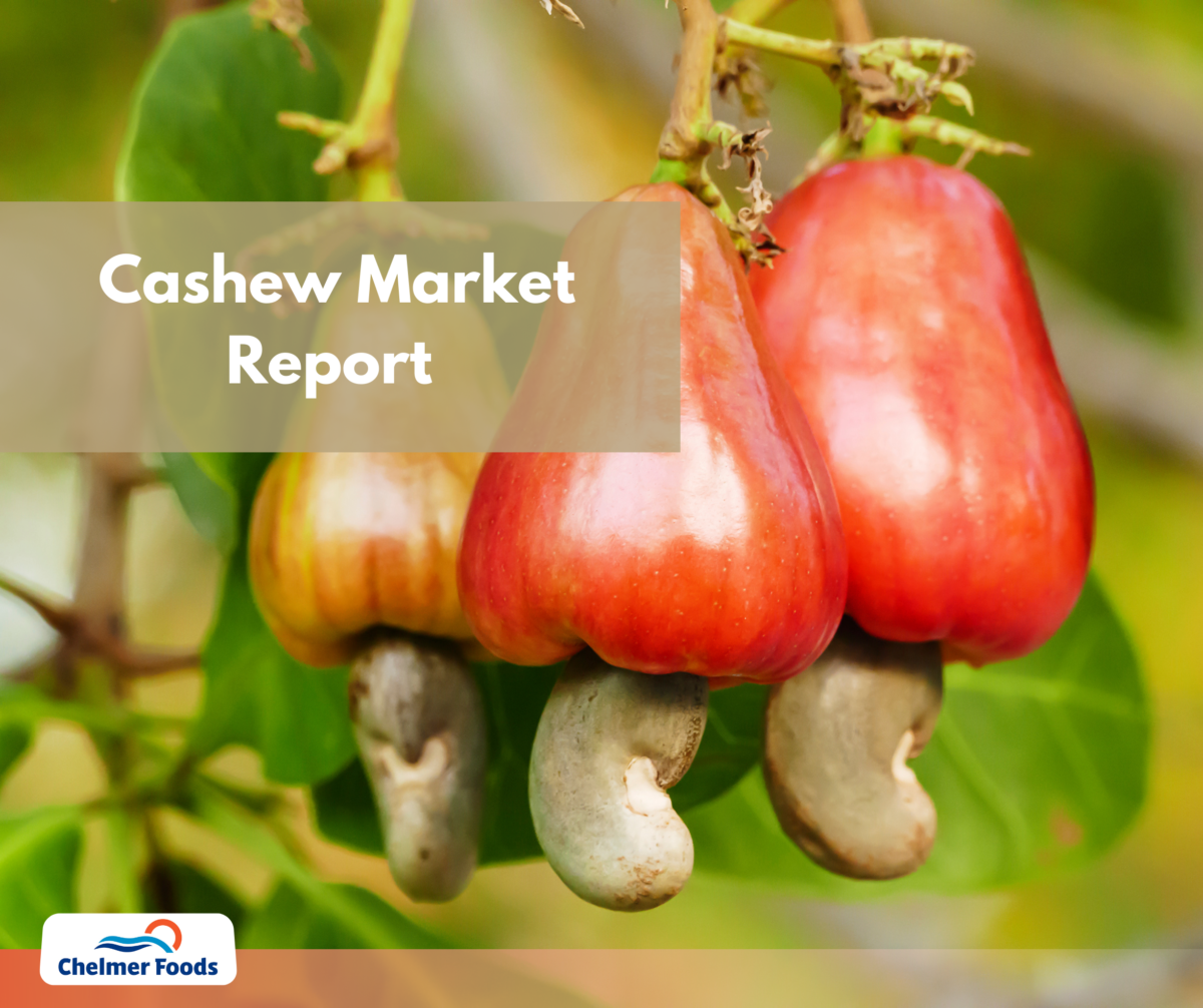 Market Update, Cashew