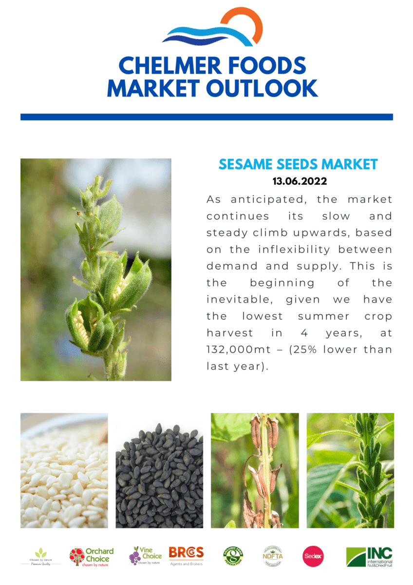Sesame Seeds Market Outlook 13.06.2022