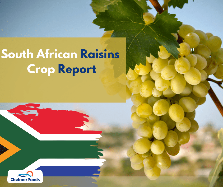South African Raisins Crop Report, 2022