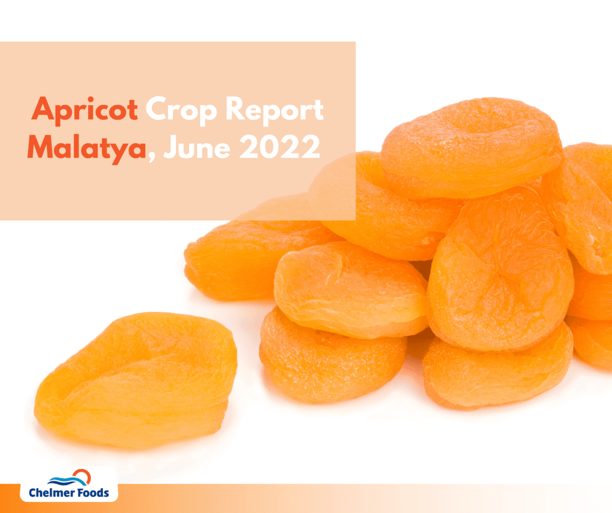 Turkiye Apricot Crop Report, Malatya 2022