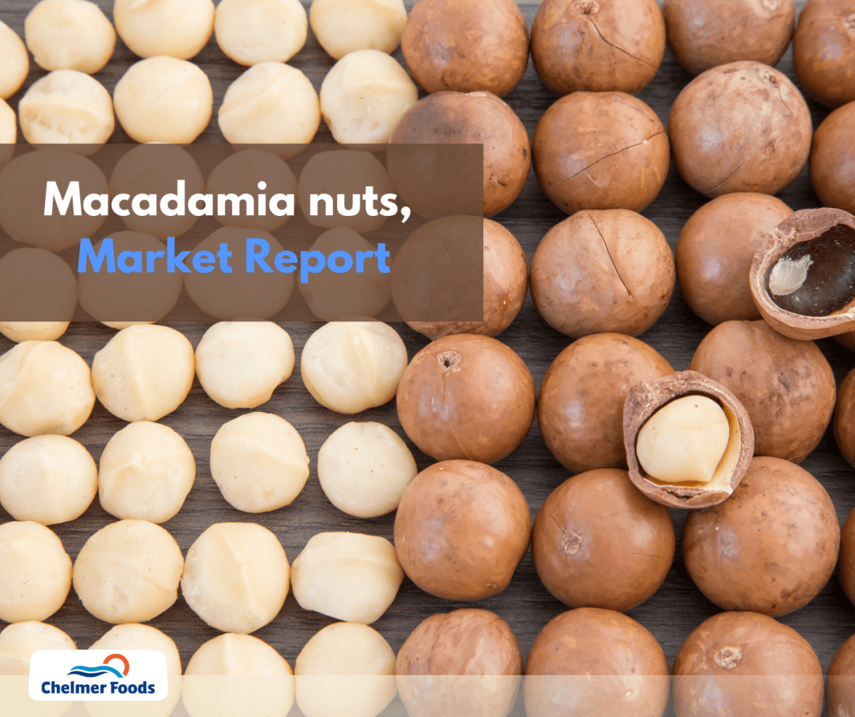 Macadamia Nuts, Market Report June - 2022