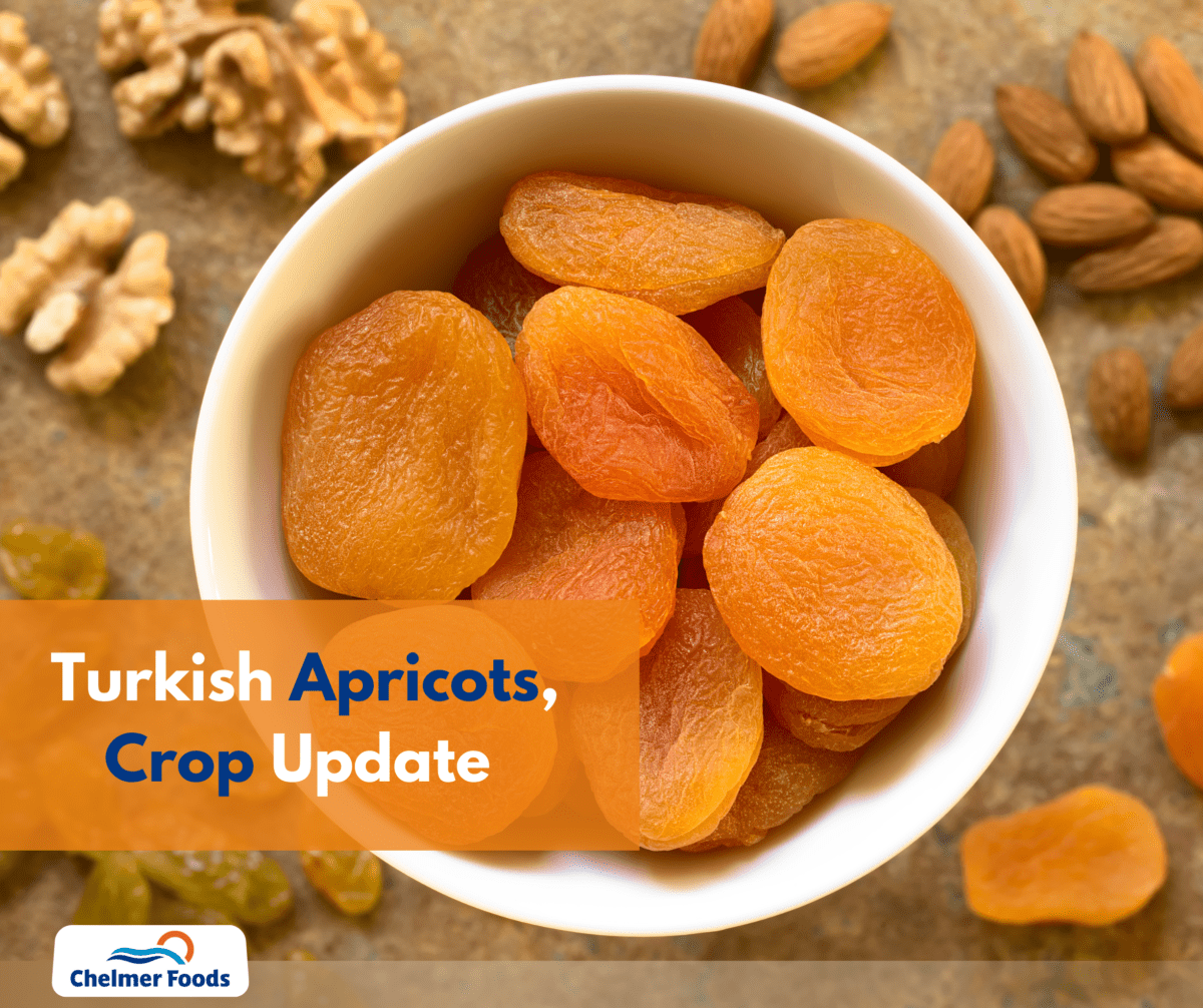 Turkish Apricots, Crop Update. 07.06.2022