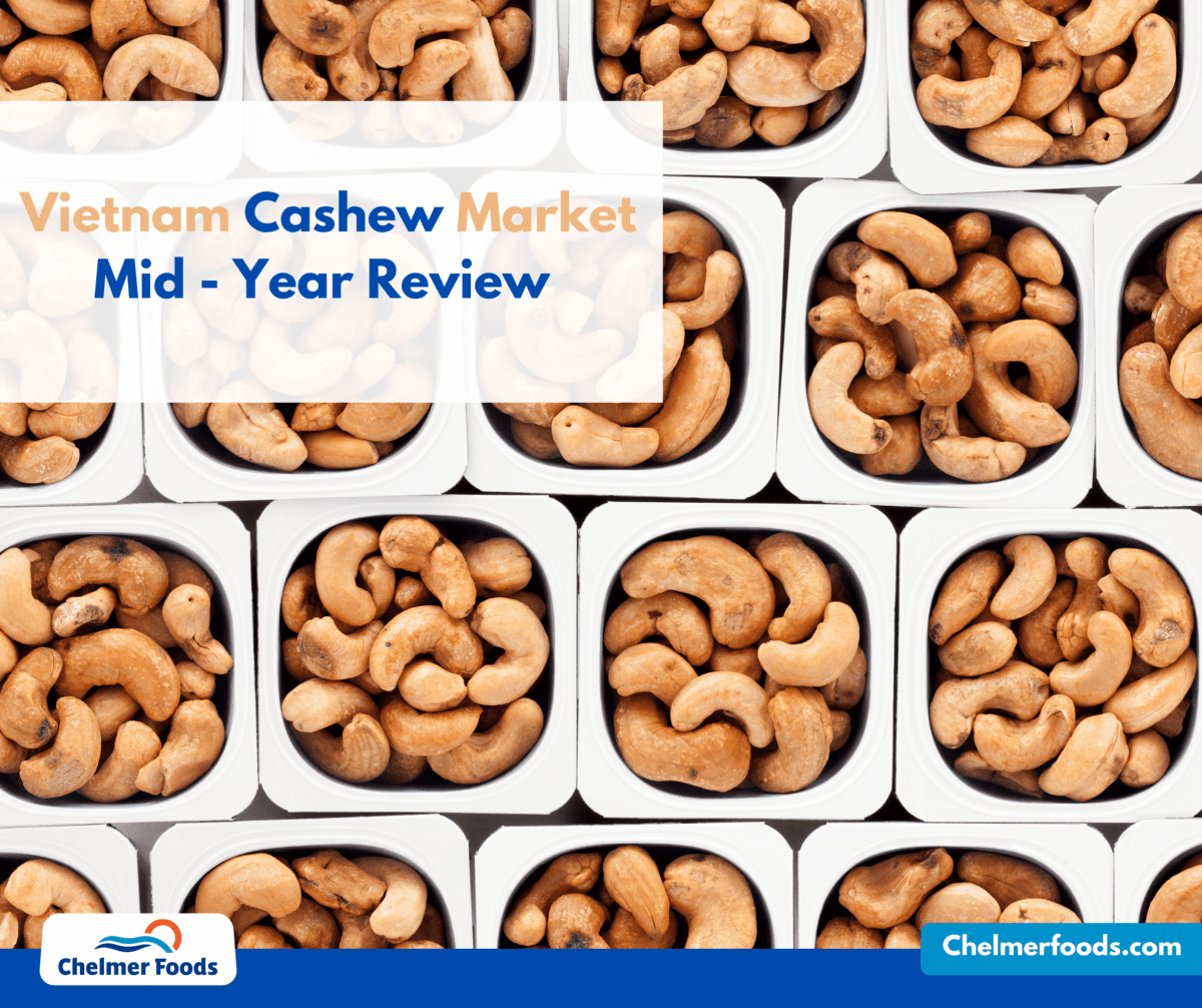 Vietnam Cashew Market, Mid - Year Review